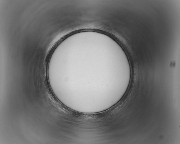 X0000115081270200911171145