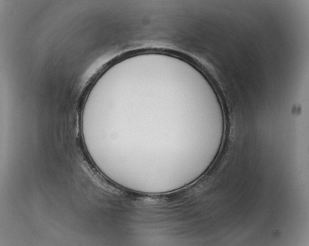 X0000115081271200911171145