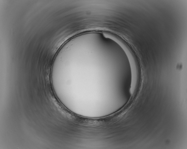 X0000115081273200911171145