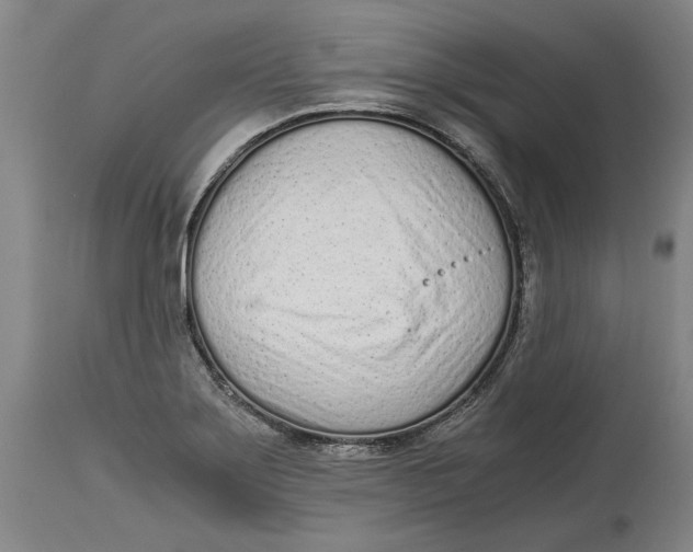 X0000115081275200911171145