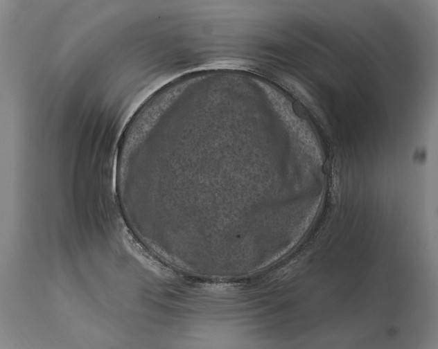 X0000115081276200911171145