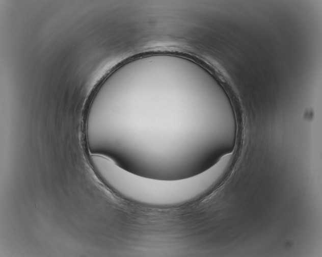 X0000115081277200911171145