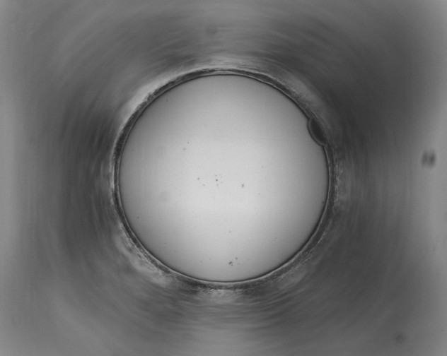 X0000115081280200911171145