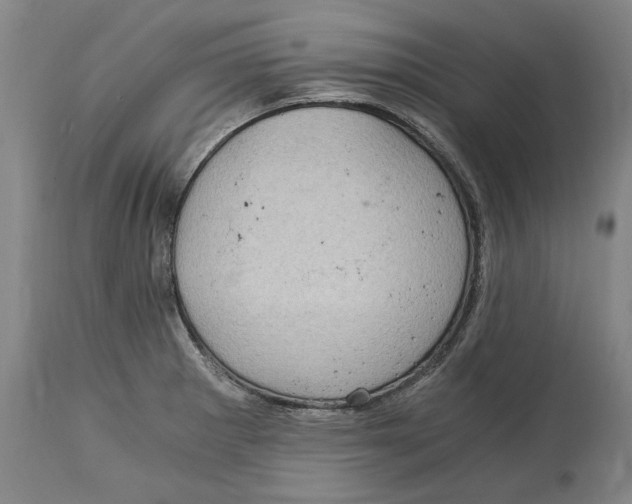 X0000115081281200911171145