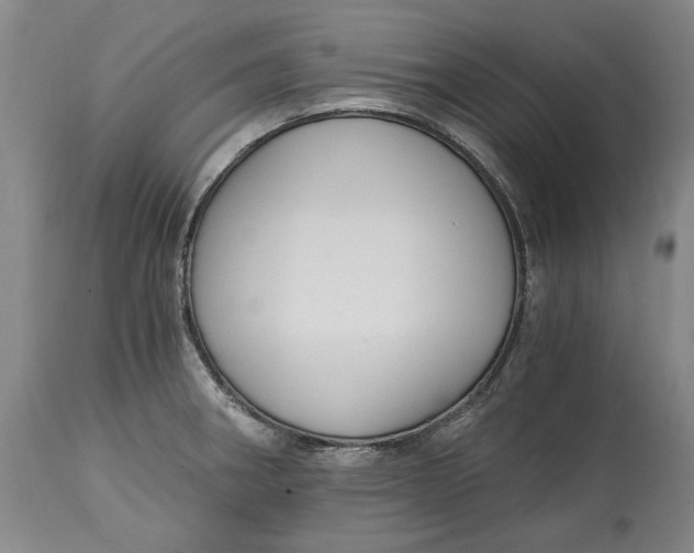 X0000115081282200911171145