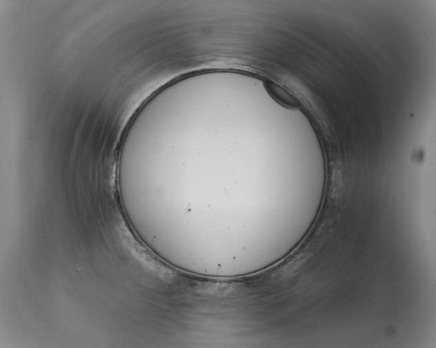 X0000115081284200911171145