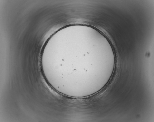 X0000115081285200911171144