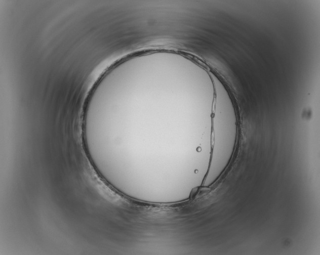 X0000115081288200911171144
