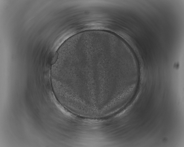X0000115081289200911171144