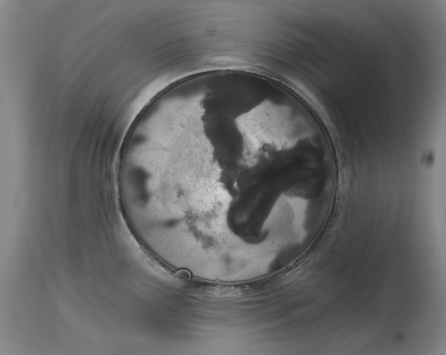 X0000115081291200911171144
