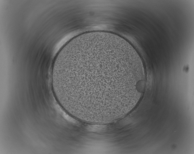 X0000115081294200911171144
