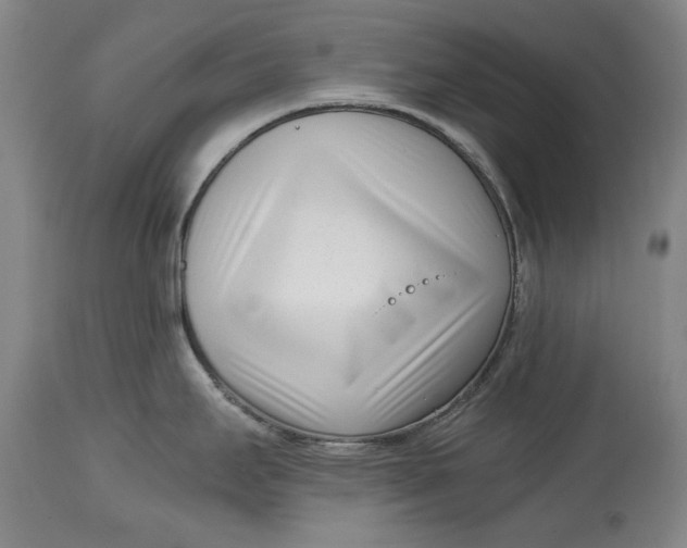 X0000115081295200911171144