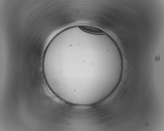 X0000115081296200911171144