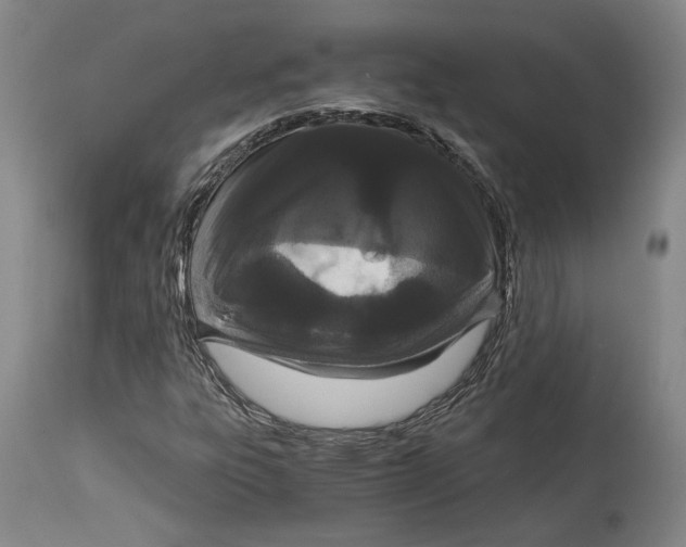 X0000115081303200911171144