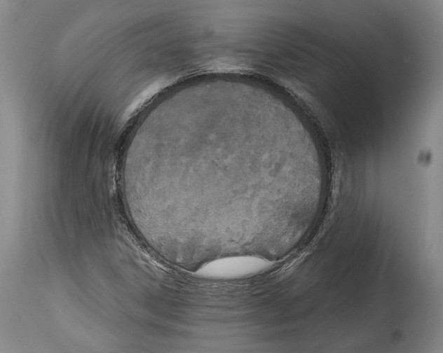 X0000115081306200911171144