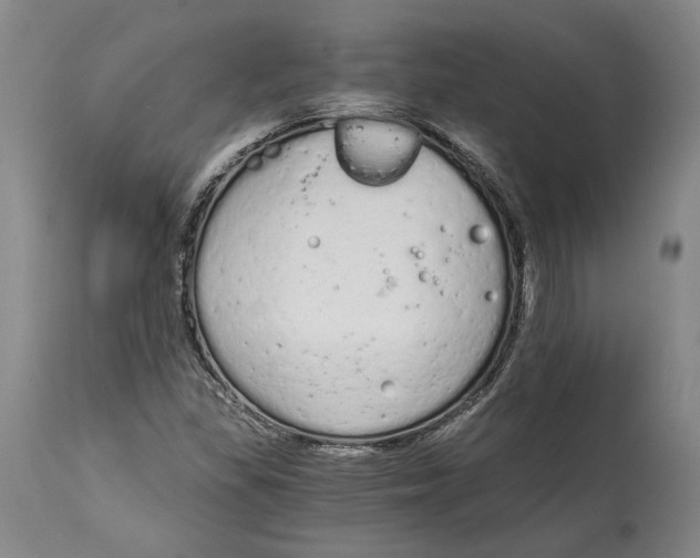 X0000115081309200911171144