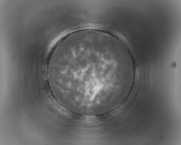 X0000115081310200911171144