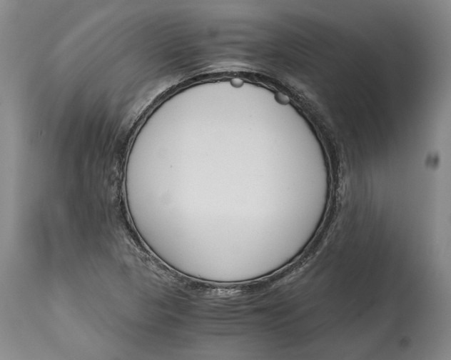 X0000115081313200911171144