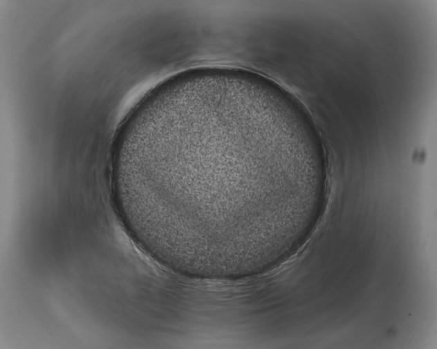 X0000115081319200911171144