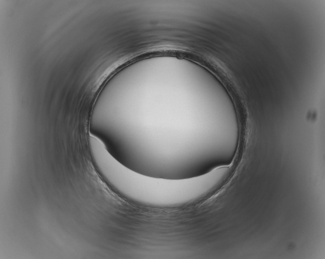 X0000115081321200911171144