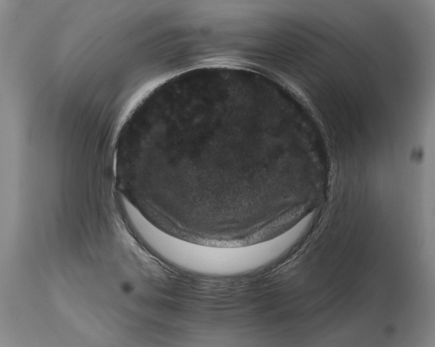 X0000115081323200911171144