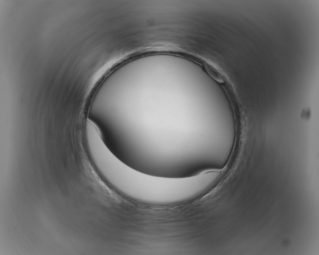 X0000115081325200911171144