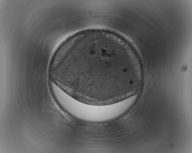 X0000115081327200911171144