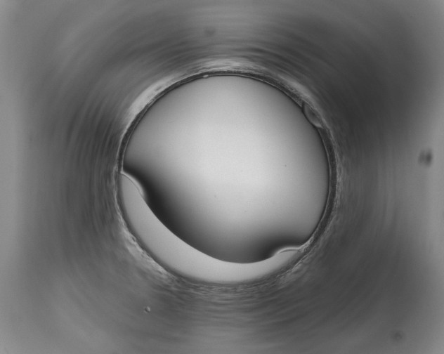 X0000115081330200911171144