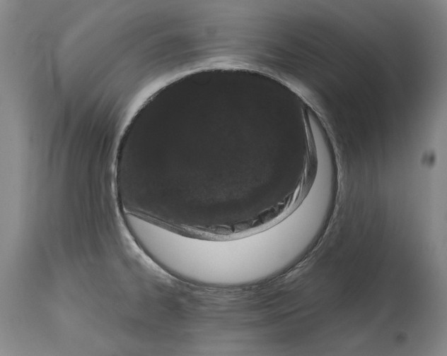 X0000115081334200911171144