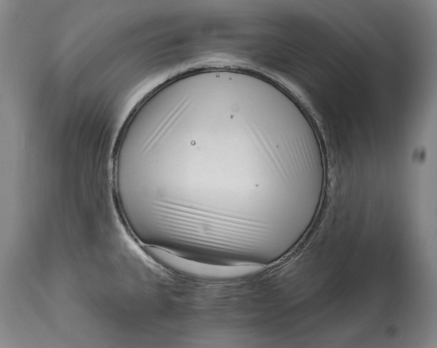 X0000115081335200911171144