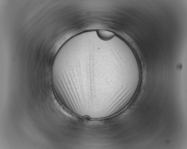 X0000115081337200911171144