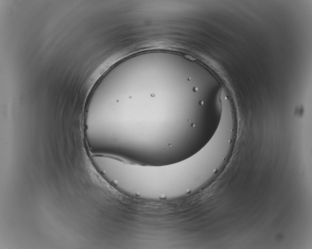 X0000115081338200911171144