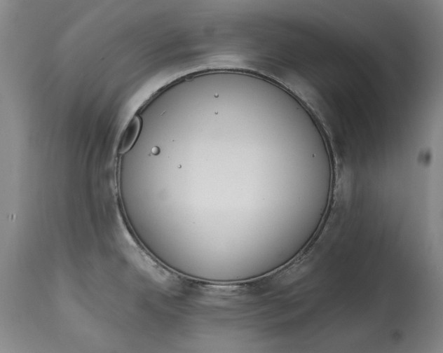 X0000115081342200911171144