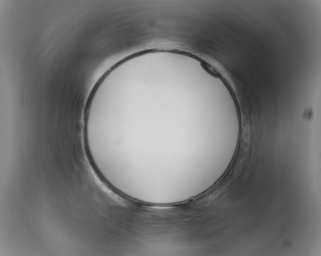 X0000115081343200911171144