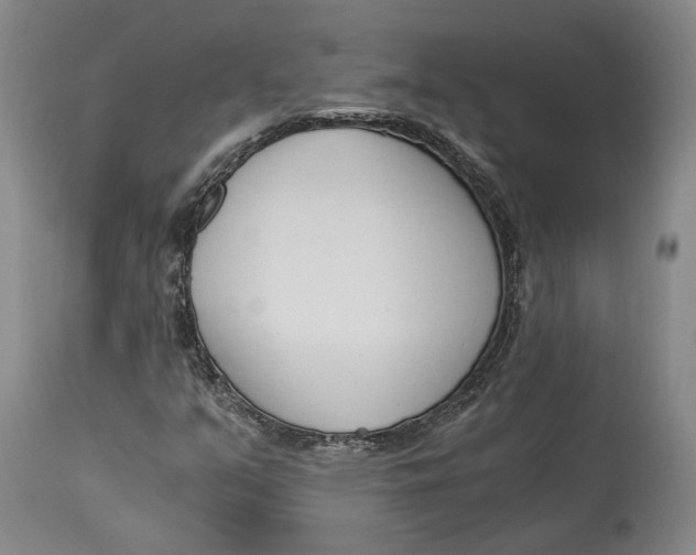 X0000115081351200911171143