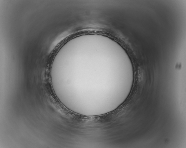 X0000115081352200911171143