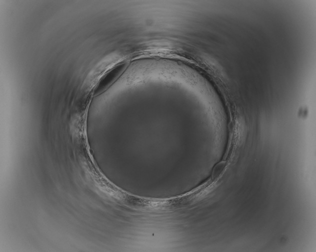 X0000115081353200911171143