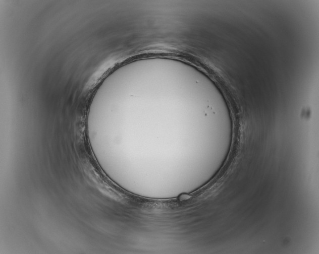 X0000115081355200911171143