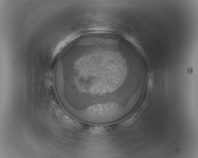 X0000115081357200911171143