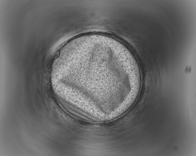X0000115081359200911171143