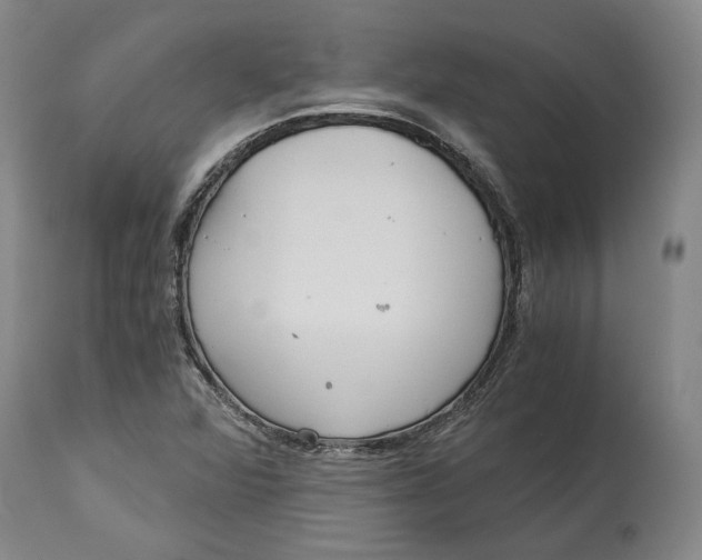 X0000115081360200911171143