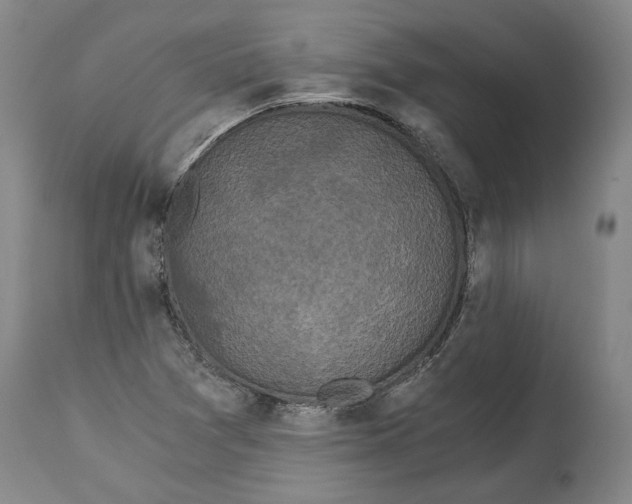 X0000115081361200911171143