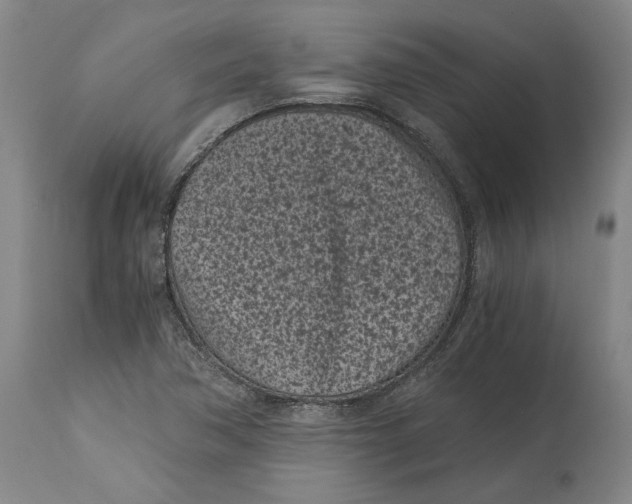 X0000115081362200911171143