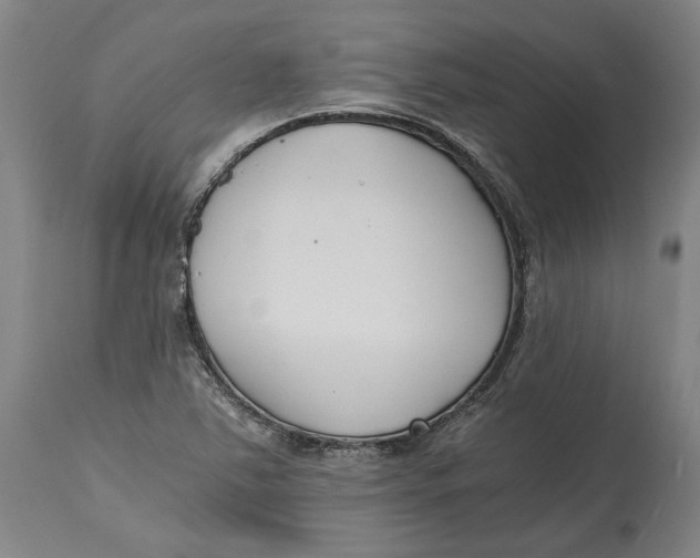 X0000115081363200911171143