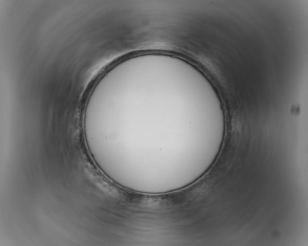 X0000115081364200911171143