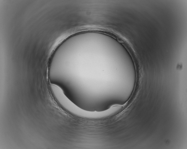 X0000115081365200911171143
