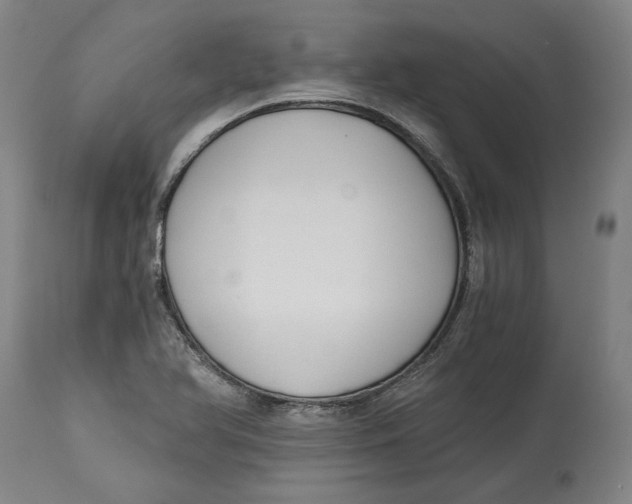 X0000115081366200911171143