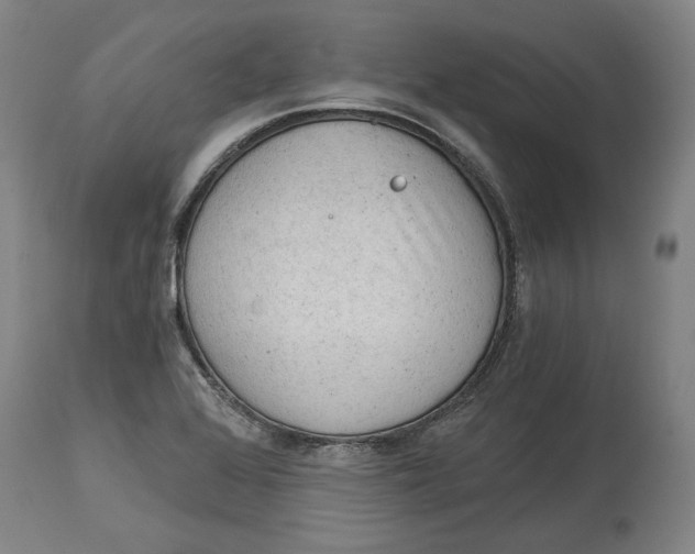 X0000115081368200911171143