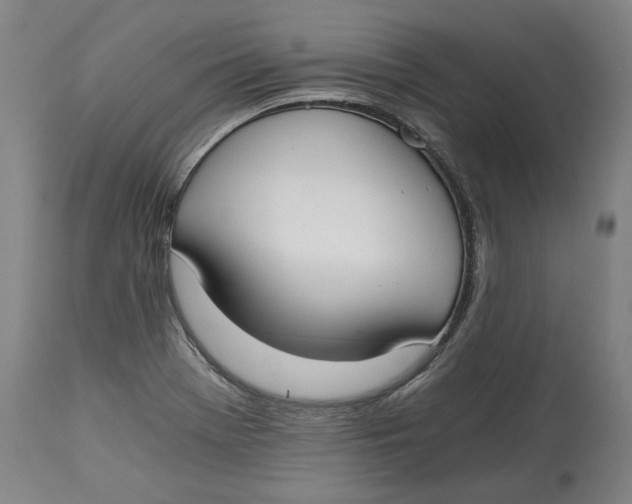 X0000115081369200911171143