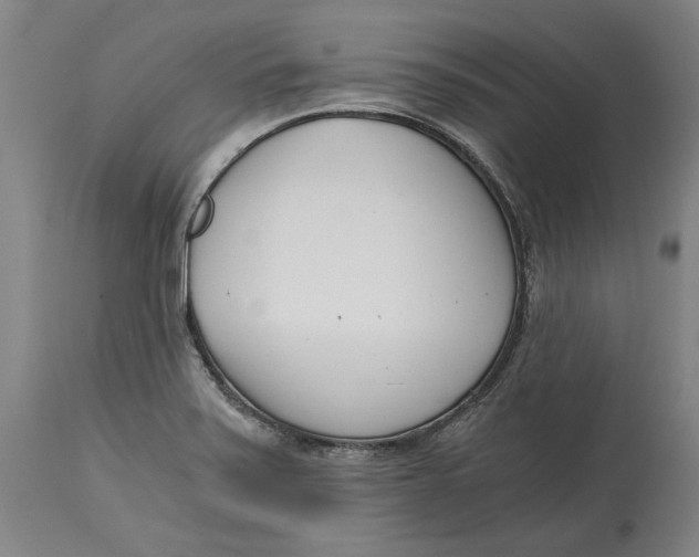 X0000115081371200911171143